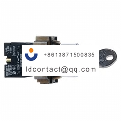 XB2BG25C Schneider Electric 2 posit