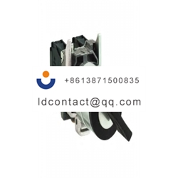 XB4BG2120 Schneider Electric 2 posi