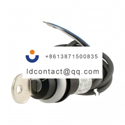 186256 C22 WS MS1 K20 P62 Eaton 2 p