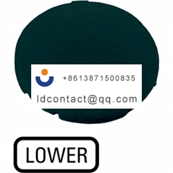 218209 M22 XD S GB18 Eaton Button D