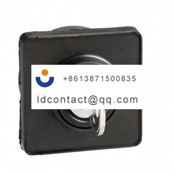 KDC1Z Schneider Electric Cam Switch