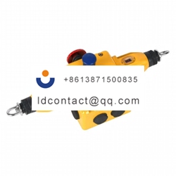 141039 IDEM Rope Pull Switch  horiz
