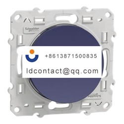 S550205 Schneider Electric Toggle L
