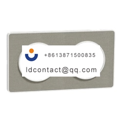 S520804KG Schneider Electric ABS  P