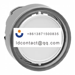 ZB4BA98 Schneider Electric Illumina