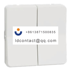 MUR39022 Schneider Electric Rocker 