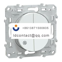 S300214 Schneider Electric Toggle L