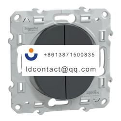 S340216 Schneider Electric Toggle S