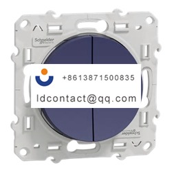 S550216 Schneider Electric button l