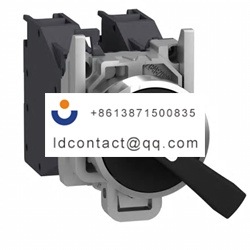 XB4BJ21GEX Schneider Electric 2 pos