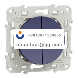 S550285 Schneider Electric Rocker S