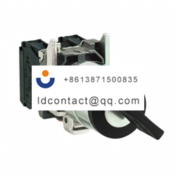 XB4BG2320 Schneider Electric 2 posi