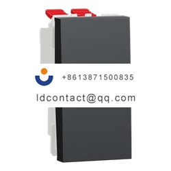 NU310554 Schneider Electric Rocker 