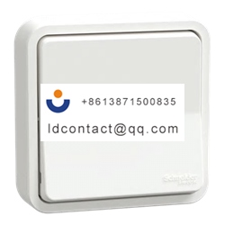 MUR39037 Schneider Electric Rocker 