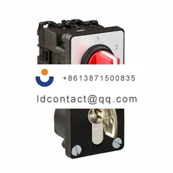 K1C003NZ2 Schneider Electric Handle