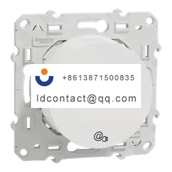 S520490 Schneider Electric Louver a