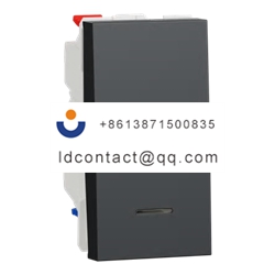 NU310354S Schneider Electric Rocker