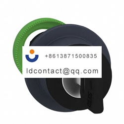 ZB5FG0D Schneider Electric 8D1 key 