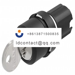 45 290J 1000 111 EAO Key Switch Hea