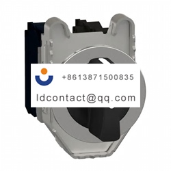 XB4FG21 Schneider Electric 2 positi