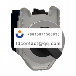 XB4FD25 Schneider Electric 2 positi