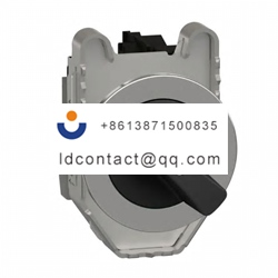XB4FJ21 Schneider Electric 2 positi