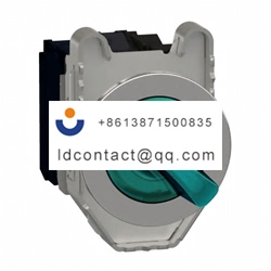 XB4FK123G5 Schneider Electric 2 pos