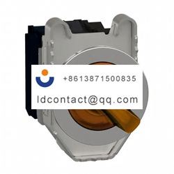 XB4FK125B5 Schneider Electric 2 pos