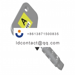 SK B202 IDEM Remote Key  Safety Int