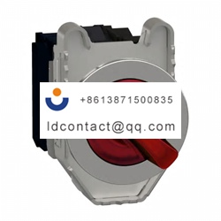 XB4FK124G5 Schneider Electric 2 pos