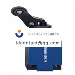 103015136 Schmersal Offset Roller L