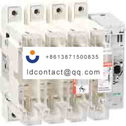 GS2N4 Schneider Electric 250A Fuse 