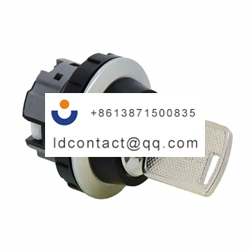 CW4K 2A Idec Key Switch Head  2 pos