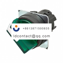 A22NZ 2BL TGA Omron 2 position illu