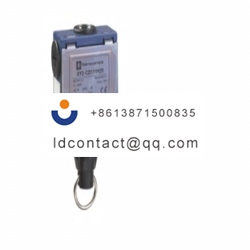 XY2CD111H29 Telemecanique Sensors R