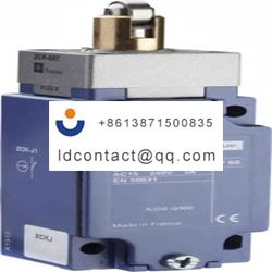 XCKJ561H29 Telemecanique Sensors Pl