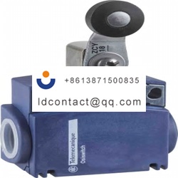 XCKT2118G11 Telemecanique Sensors R
