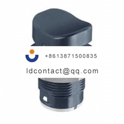 FNRC64SXX2X APEM Boat Type Switch  
