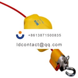 iE110 P20 SICK Rope Operated Switch