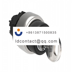 LPCS320 Lovato Key Switch Head    2